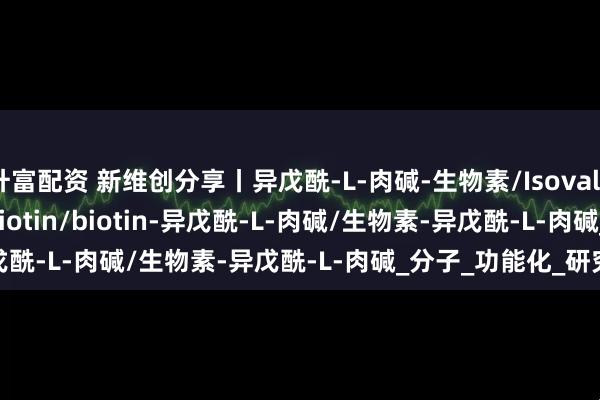 升富配资 新维创分享丨异戊酰-L-肉碱-生物素/Isovaleryl-L-carnitine-biotin/biotin-异戊酰-L-肉碱/生物素-异戊酰-L-肉碱_分子_功能化_研究