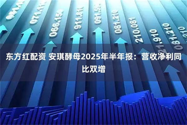东方红配资 安琪酵母2025年半年报：营收净利同比双增